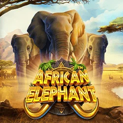 African Elephant