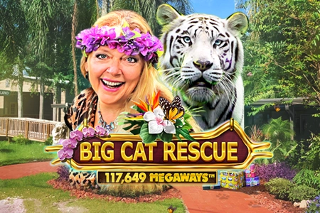 Big Cat Rescue Megaways™