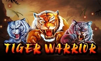 Tiger Warrior